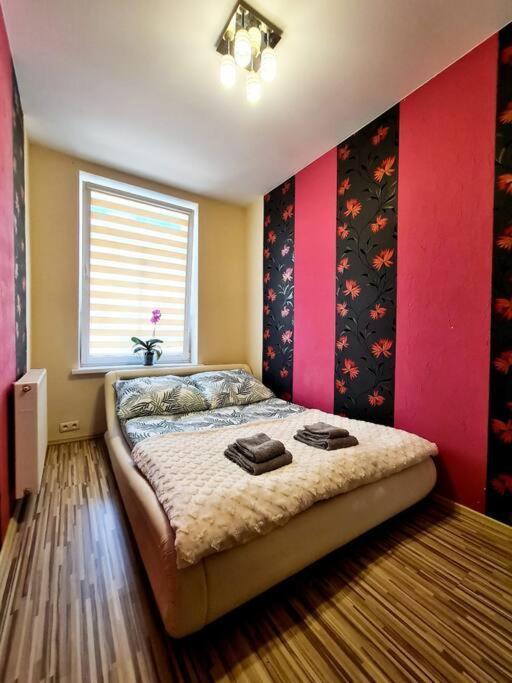 Mikolajki Apartament Miedzy Mostami Екстериор снимка
